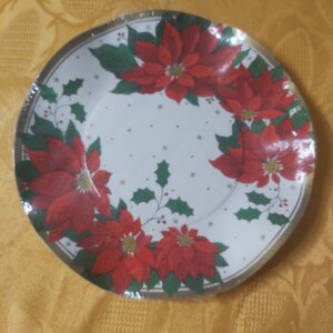 Piatto dessert/ frutta NATALE